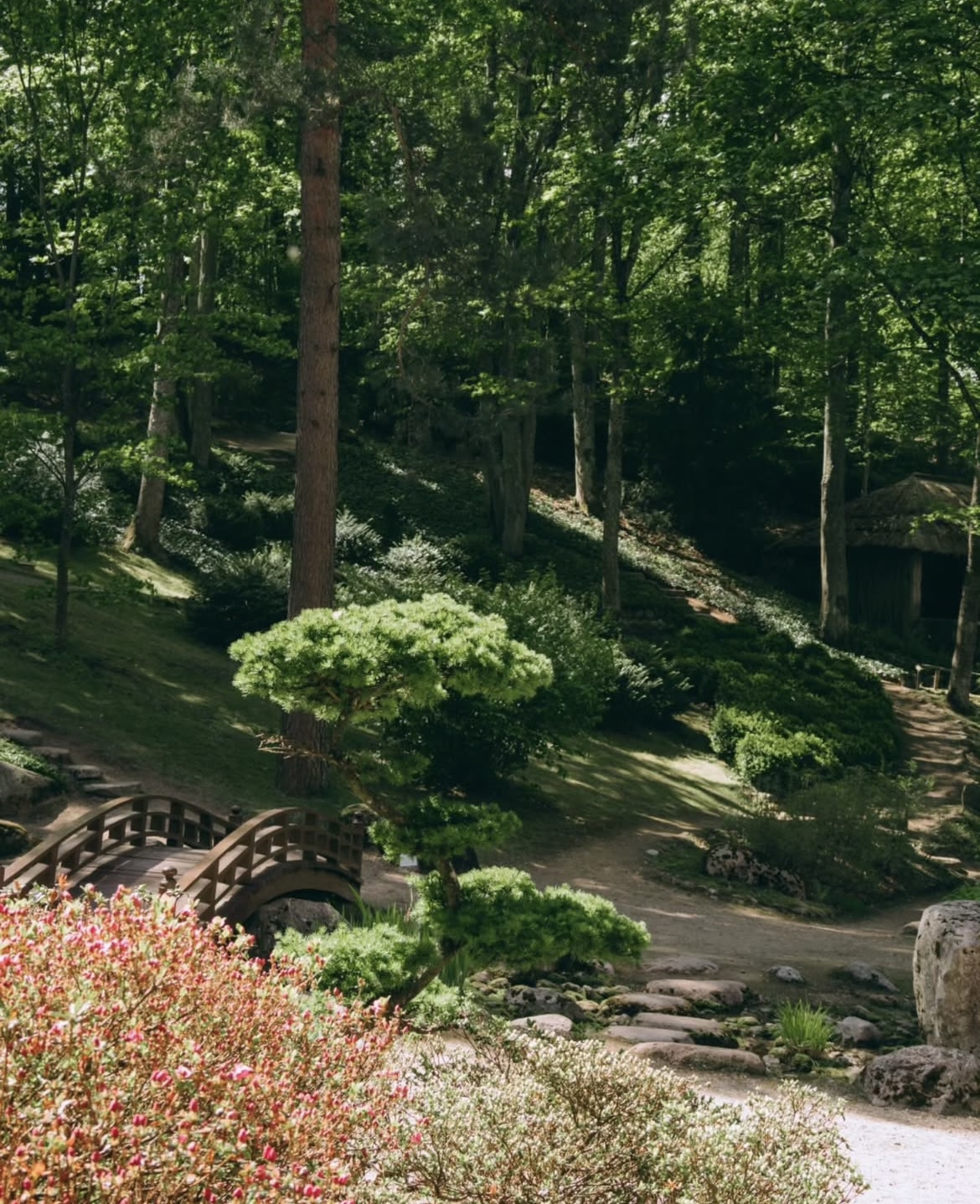 Vilnius university botanical garden