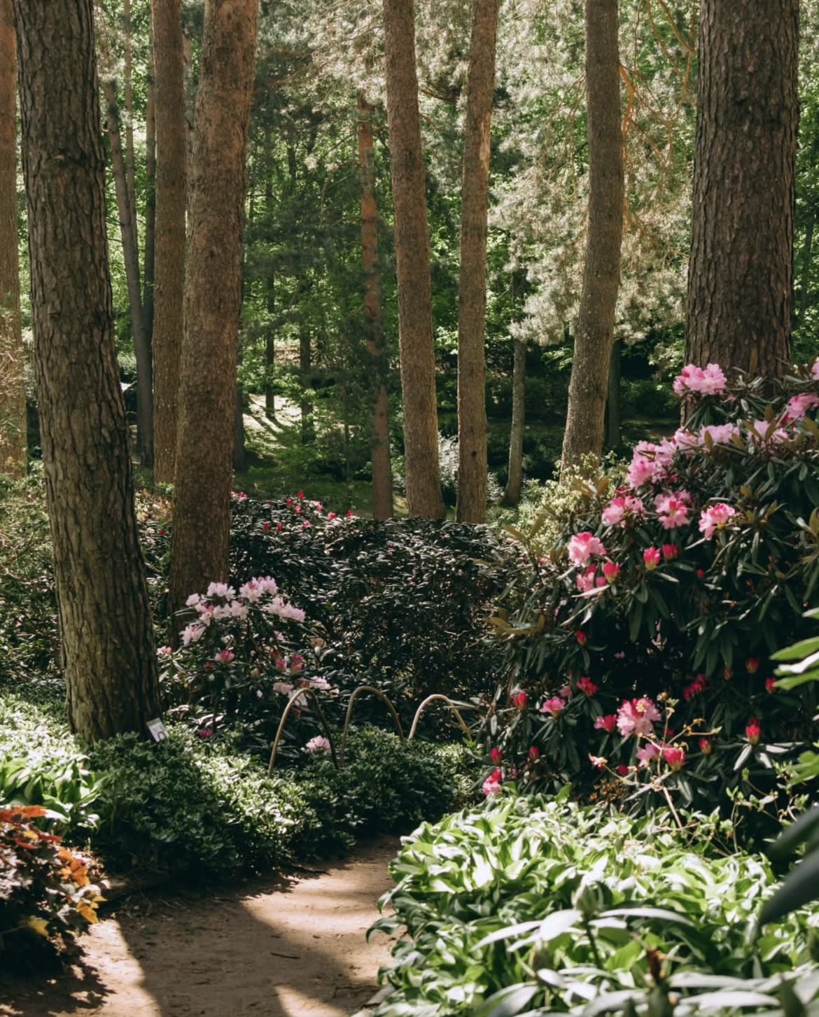 Vilnius university botanical garden
