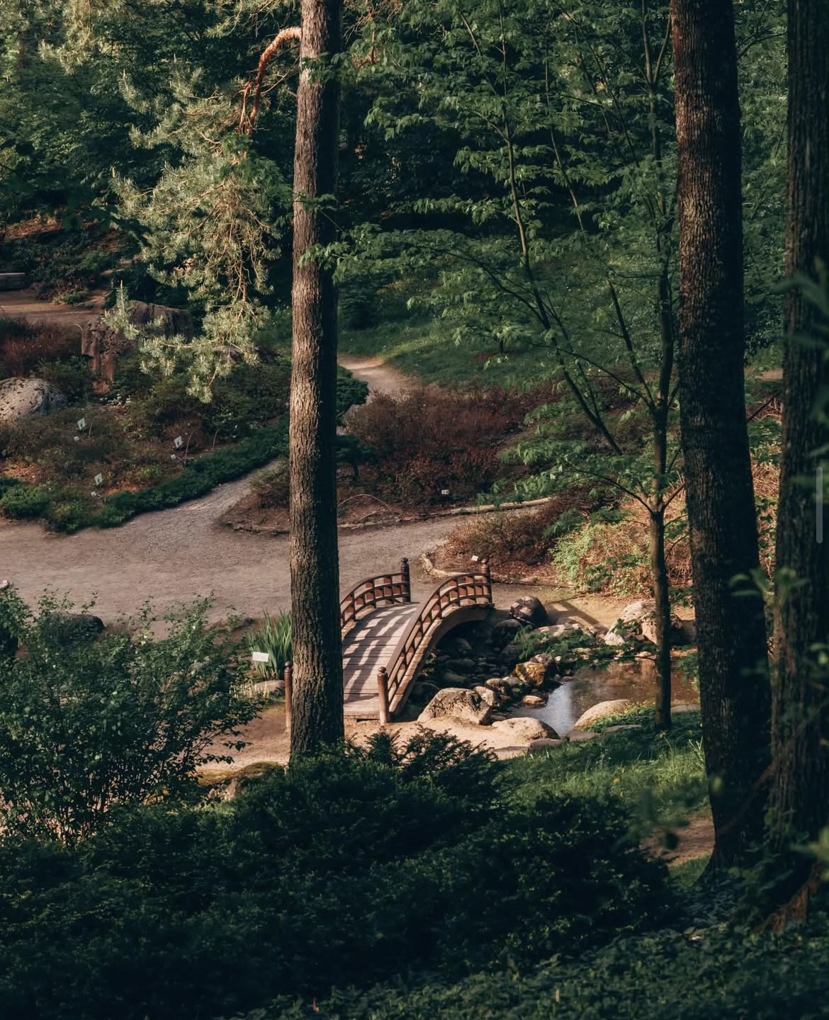 Vilnius university botanical garden