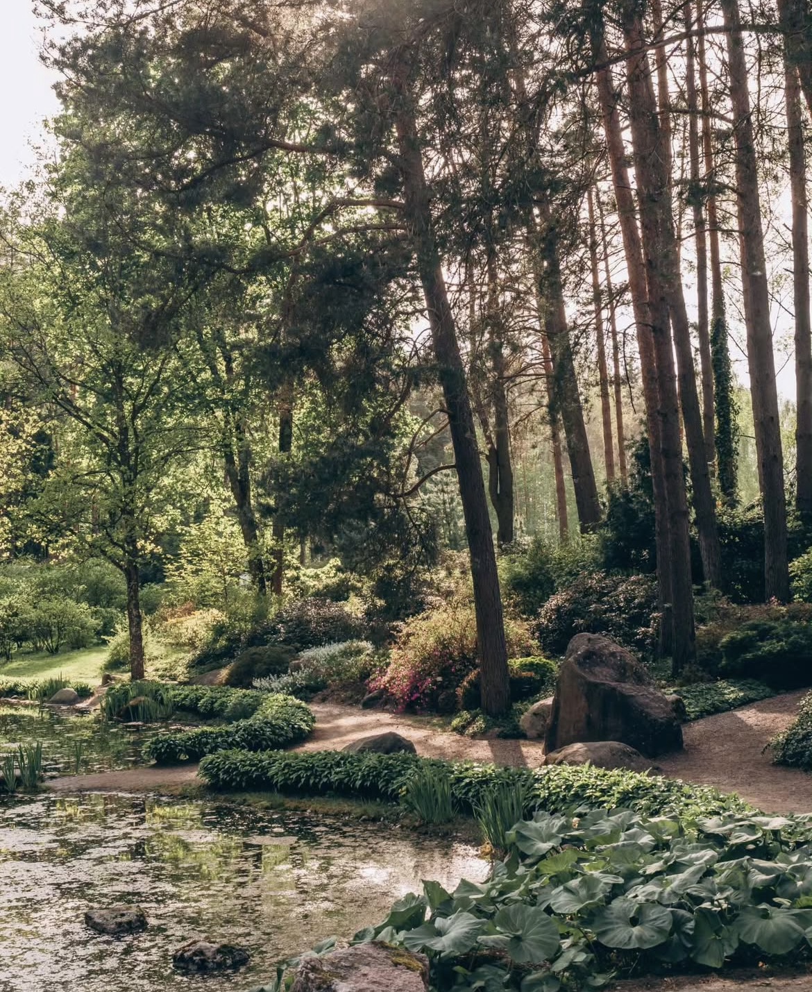 Vilnius university botanical garden