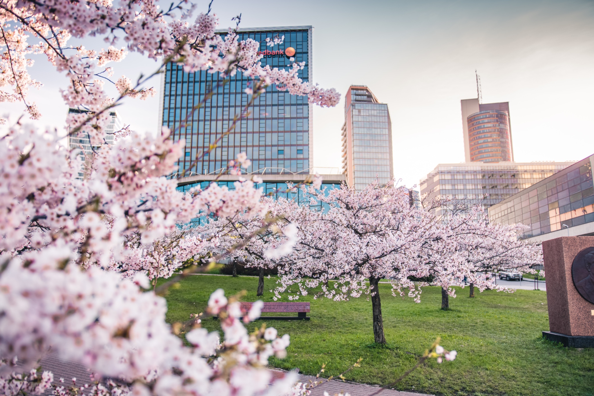Sakura park Vilnius